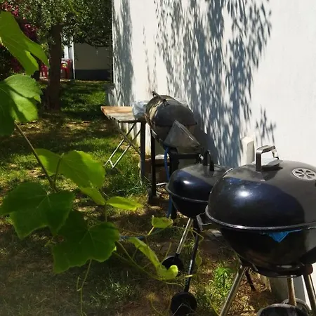 Koula 2 - Korina * Potos