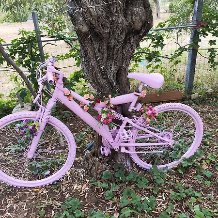 Koula 2 - Korina Lejlighed *