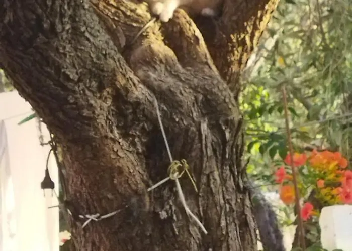 Koula 2 - Korina Apartamento *